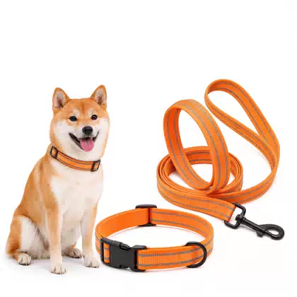 Reflective Luxury Print Dog Collar and Leash Set Adjustable Orange 100% Nylon Walking Collar Leash for Medium Large Dogs