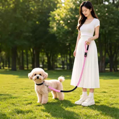 Bungee Dog Leash with Padded Handle