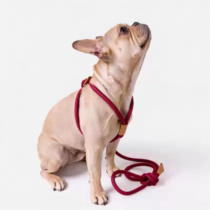 Red Round Rope Slip Lead