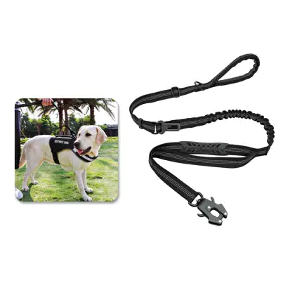 Bungee Dog Car Seat Belt with Frog Clip
