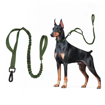 Nylon Bungee Tactical Dog Leash
