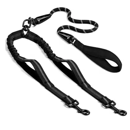Double Bungee Dog Walking Leash