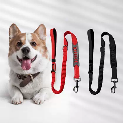Long Bungee Dog Leash for Walking and Car Use