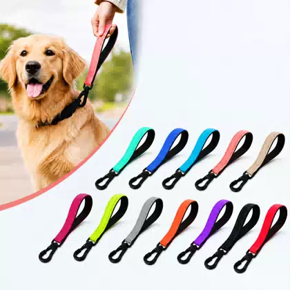 Short Nylon Dog Training Leash