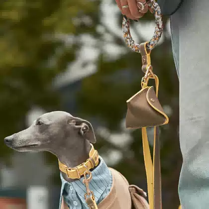 360 Beauty Fashion Durable Ring Handle Luxury Pet Lead Custom Print Logo Dog Leash Leash With Hang Water Bottle