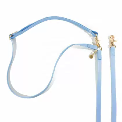 Waterproof Webbing Multicolor slip Lead Pet Accessories Correa De Perro Rubber Dog Crossbody Hands Free Leash for Running