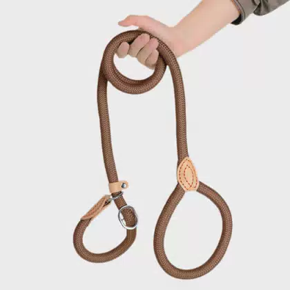Abrasion-Resistant 2-in-1 Rope Dog Collar and Leash with Soft Handle
