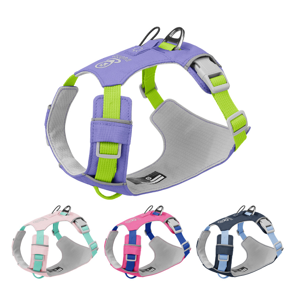 Waterproof AirTag-Ready Outdoor Dog Harness
