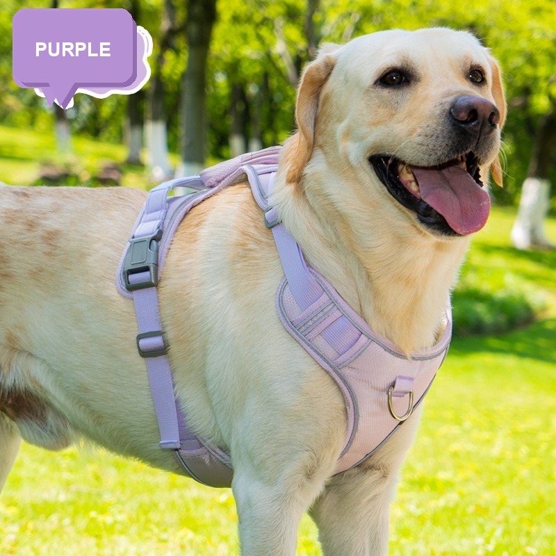 Wide Reflective Tactical Dog Harness & Leash Set