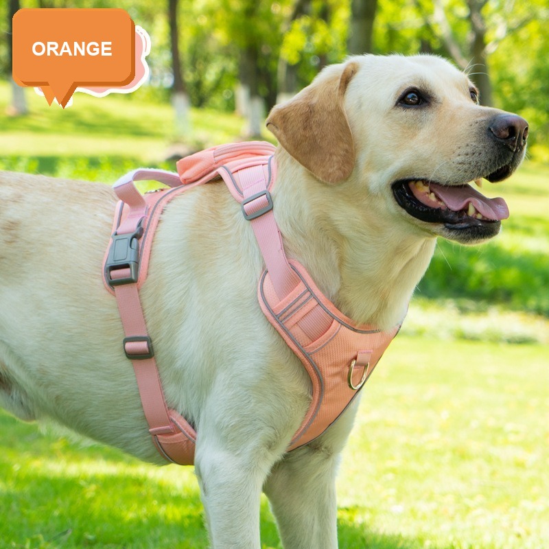 Wide Reflective Tactical Dog Harness & Leash Set